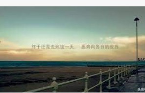 华宇平台注册研发,华宇平台注册代理